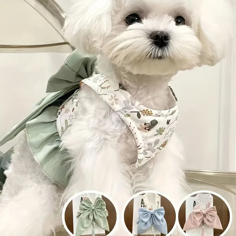 Coleiras para cães, coleiras e roupas, colares, coleiras para cães, coleiras para animais de estimação, coisas para gatos, acessórios para filhotes, conjunto de coleiras, coletes