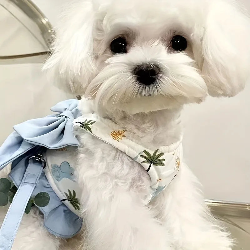 Coleiras para cães, coleiras e roupas, colares, coleiras para cães, coleiras para animais de estimação, coisas para gatos, acessórios para filhotes, conjunto de coleiras, coletes